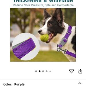 Purple Dog Collar and Leash Set